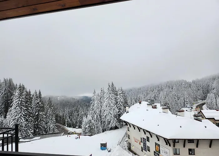 Pine & Wine Bathtub Apartment