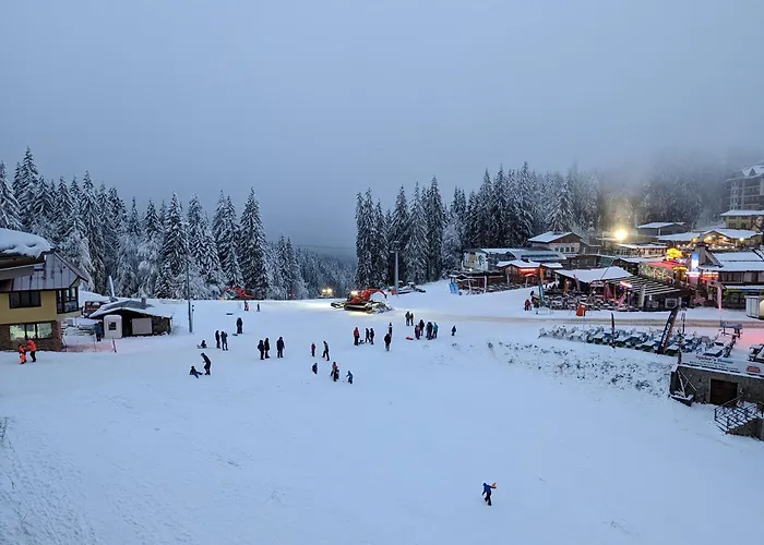 Pine & Wine Bathtub Apartment